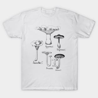 Wild Mushroom | For Fungi Foraging Fungiphiles T-Shirt